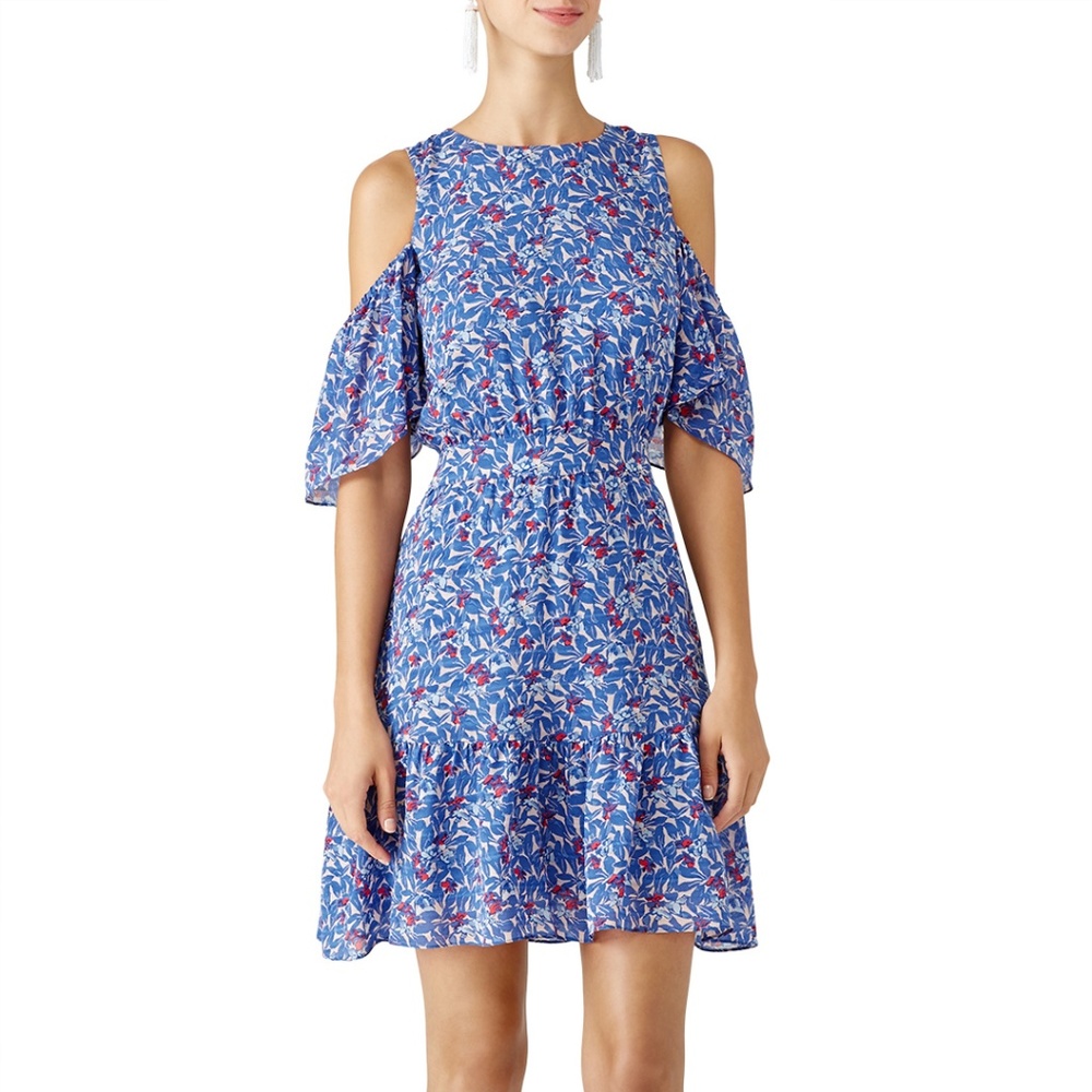Tanya Taylor Blue Wildflower Shiloh Dress Size 4